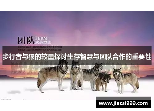 步行者与狼的较量探讨生存智慧与团队合作的重要性